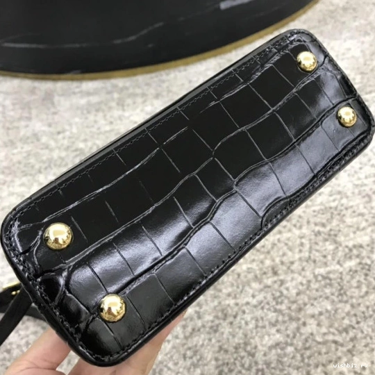 WIS LOUIS MINI CAPUCINES VUITTON 1014